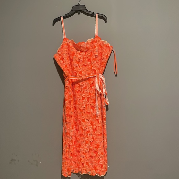 Alex Marie
Crystal Embroidered Lace Sleeveless Dress - Picture 4 of 10